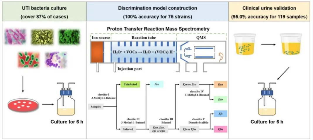 截屏2025-12-11 10.18.39.png