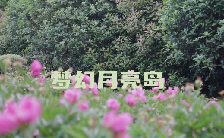 凯发k8乡村振兴网助力打造环巢湖农文旅融合示范样本